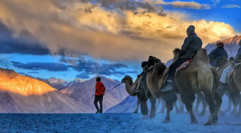 Ladakh Tour Packages