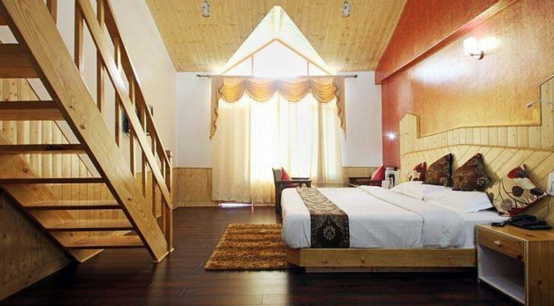 Hotels in Manali