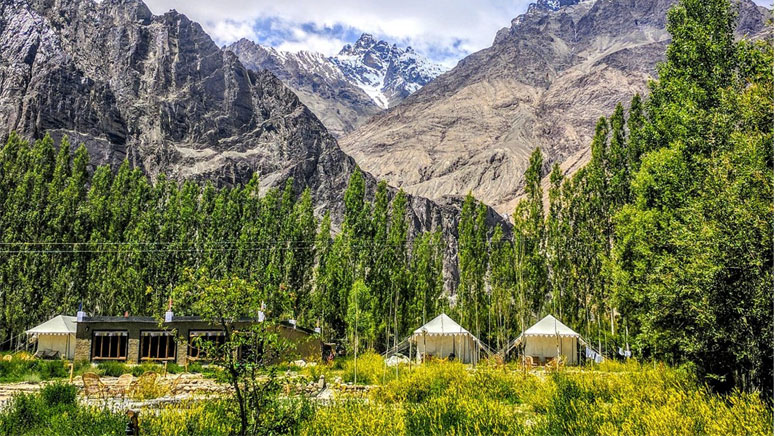 Camps in Ladakh