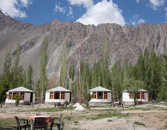 Camps in Nubra Valley