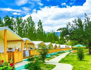 Camps in Nubra Valley