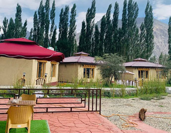 Camps in Nubra Valley