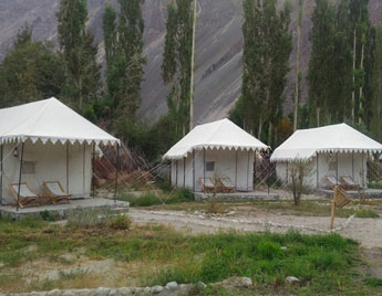 Camps in Nubra Valley