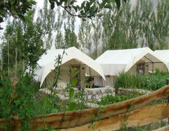 Camps in Nubra Valley