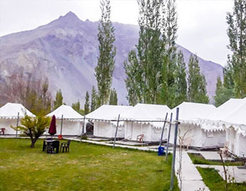 Camps in Nubra Valley