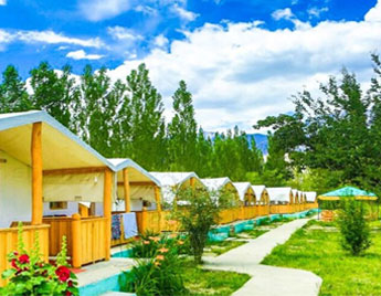 Camps in Nubra Valley