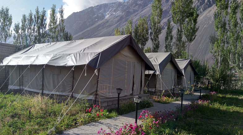 Camps Nubra Valley