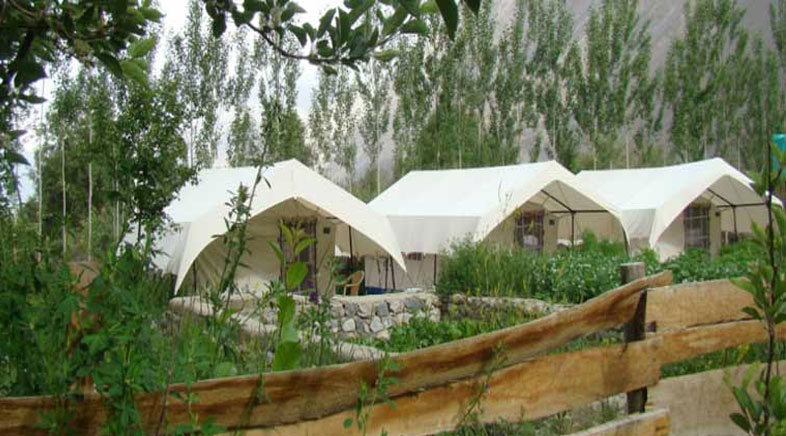 Camps Nubra Valley