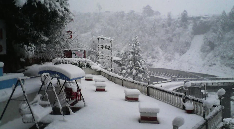 Hotels in Manali