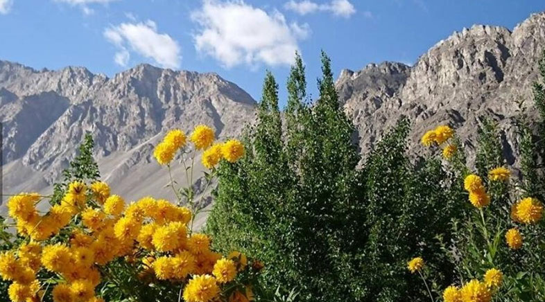 Camps Nubra Valley