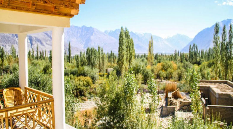 Camps Nubra Valley