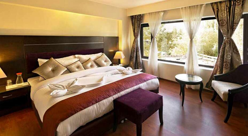 Luxury Hotels in Ladakh