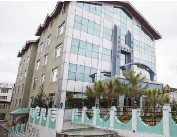 Hotels in Srinagar