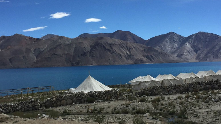 Luxury Camp in Ladakh