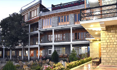 Leh ladakh Hotels