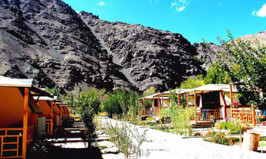 Leh ladakh Hotels