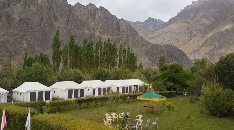 Camps Nubra Valley