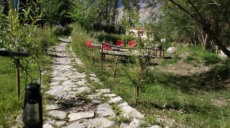 Camps Nubra Valley