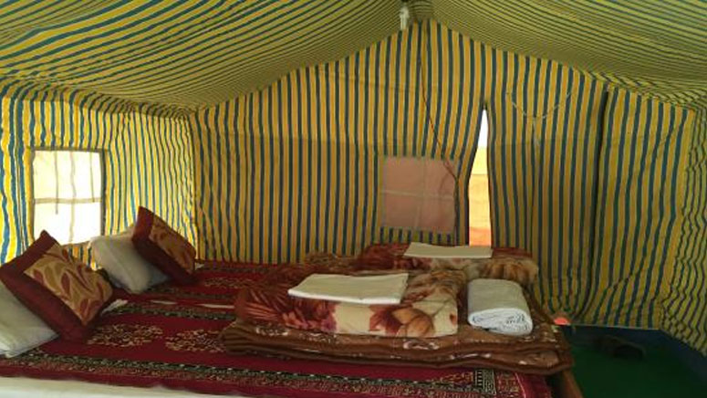 Luxury Camp in Ladakh