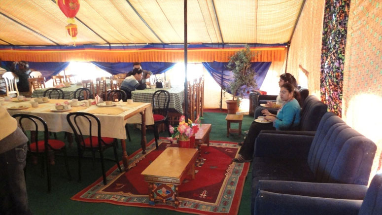 Luxury Camp in Ladakh