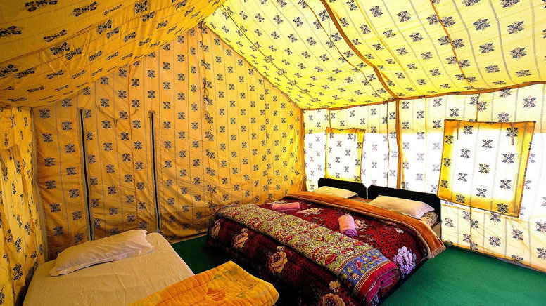 Camp in Ladakh