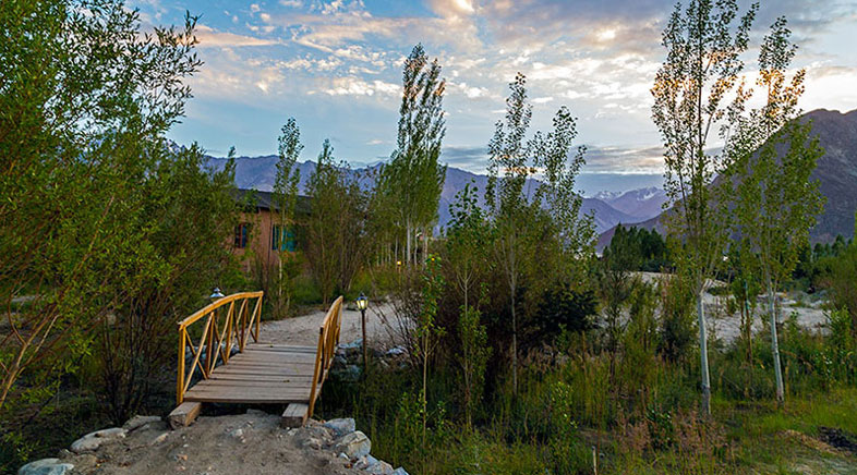 Camps Nubra Valley