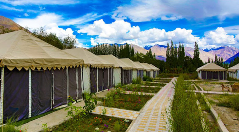 Camps Nubra Valley