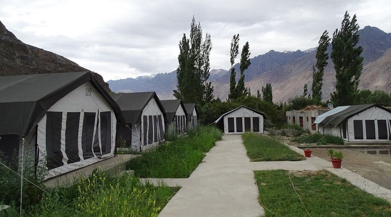 Camps Nubra Valley