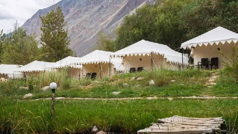 Luxury Camp in Ladakh