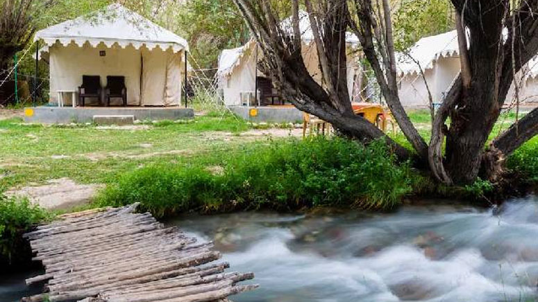 Luxury Camp in Ladakh