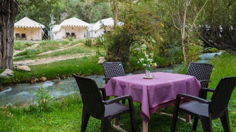 Luxury Camp in Ladakh