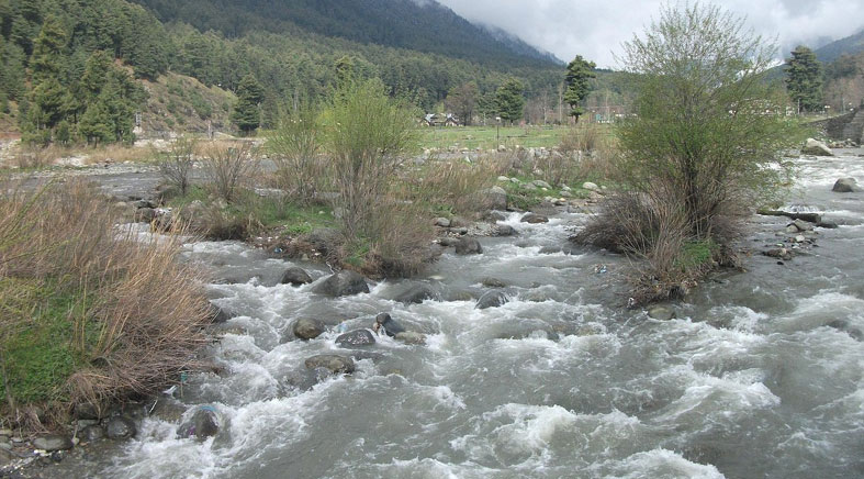 Hotel In Pahalgam